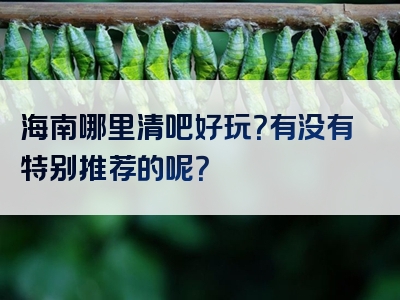 海南哪里清吧好玩？有没有特别推荐的呢？