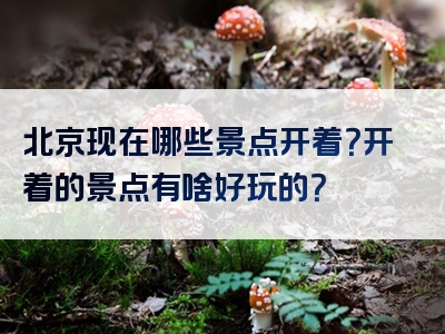 北京现在哪些景点开着？开着的景点有啥好玩的？