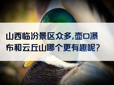 山西临汾景区众多，壶口瀑布和云丘山哪个更有趣呢？