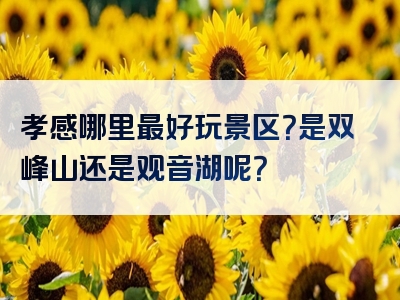 孝感哪里最好玩景区？是双峰山还是观音湖呢？