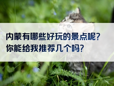 内蒙有哪些好玩的景点呢？你能给我推荐几个吗？