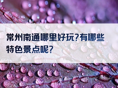 常州南通哪里好玩？有哪些特色景点呢？