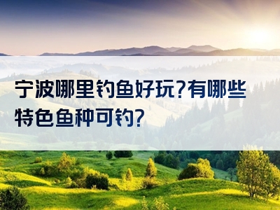 宁波哪里钓鱼好玩？有哪些特色鱼种可钓？