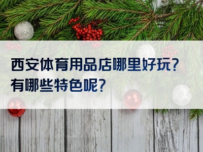 西安体育用品店哪里好玩？有哪些特色呢？