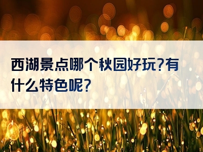 西湖景点哪个秋园好玩？有什么特色呢？