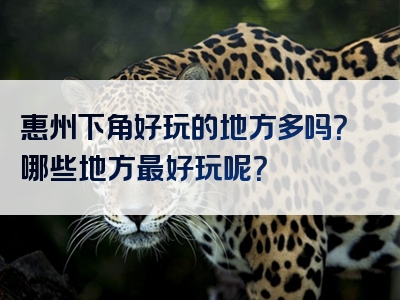 惠州下角好玩的地方多吗？哪些地方最好玩呢？