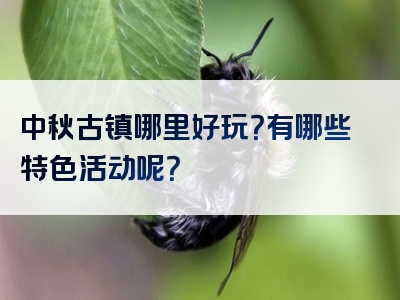 中秋古镇哪里好玩？有哪些特色活动呢？