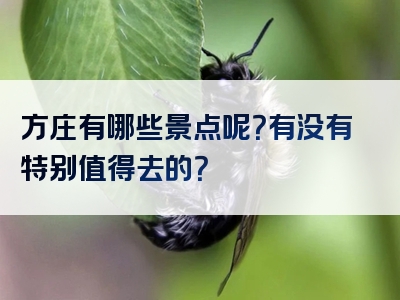 方庄有哪些景点呢？有没有特别值得去的？