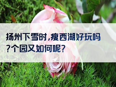 扬州下雪时，瘦西湖好玩吗？个园又如何呢？