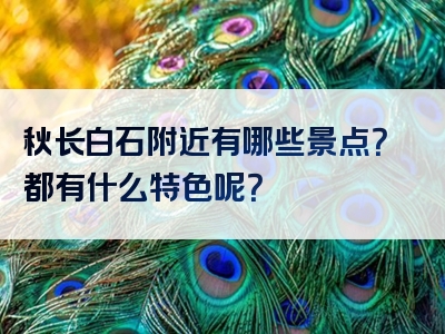 秋长白石附近有哪些景点？都有什么特色呢？