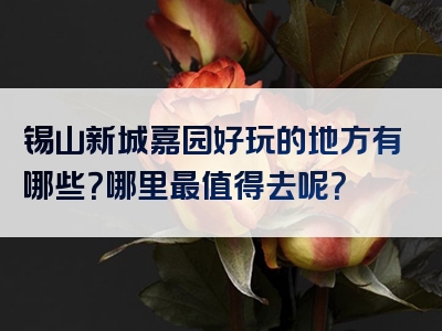 锡山新城嘉园好玩的地方有哪些？哪里最值得去呢？