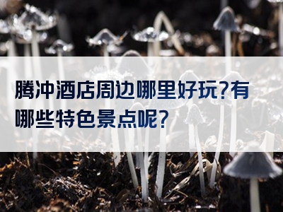 腾冲酒店周边哪里好玩？有哪些特色景点呢？