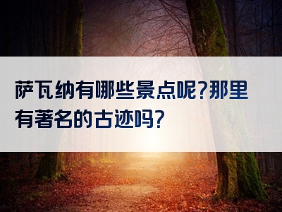 萨瓦纳有哪些景点呢？那里有著名的古迹吗？