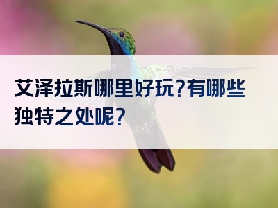 艾泽拉斯哪里好玩？有哪些独特之处呢？