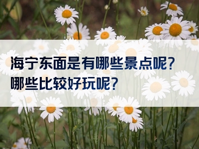 海宁东面是有哪些景点呢？哪些比较好玩呢？