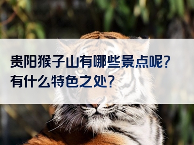 贵阳猴子山有哪些景点呢？有什么特色之处？