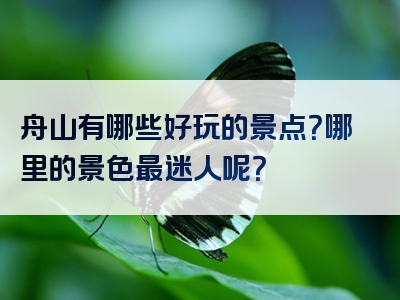 舟山有哪些好玩的景点？哪里的景色最迷人呢？