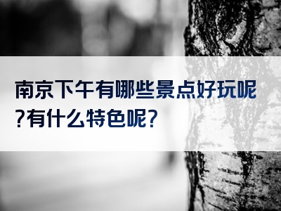 南京下午有哪些景点好玩呢？有什么特色呢？