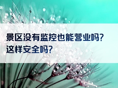 景区没有监控也能营业吗？这样安全吗？