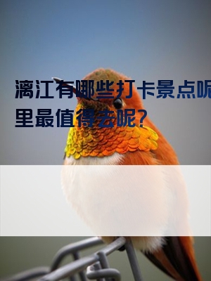 漓江有哪些打卡景点呢？哪里最值得去呢？