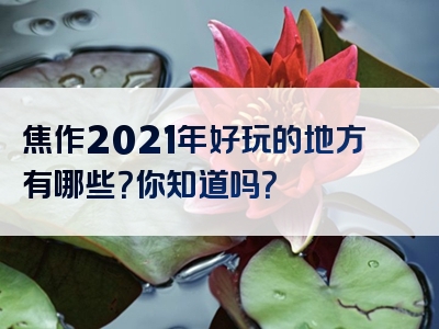 焦作2021年好玩的地方有哪些？你知道吗？