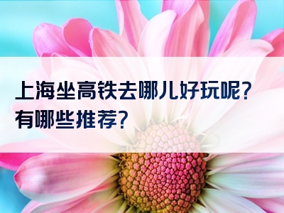 上海坐高铁去哪儿好玩呢？有哪些推荐？