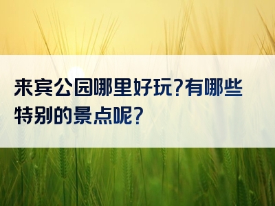 来宾公园哪里好玩？有哪些特别的景点呢？