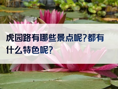 虎园路有哪些景点呢？都有什么特色呢？