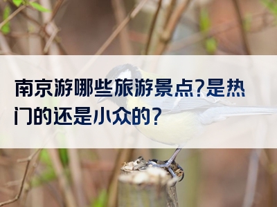 南京游哪些旅游景点？是热门的还是小众的？