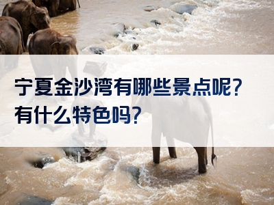 宁夏金沙湾有哪些景点呢？有什么特色吗？