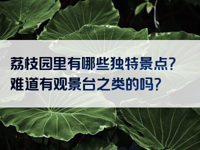 荔枝园里有哪些独特景点？难道有观景台之类的吗？