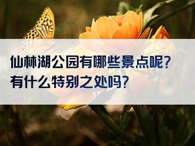 仙林湖公园有哪些景点呢？有什么特别之处吗？