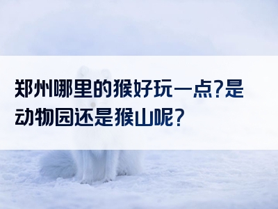 郑州哪里的猴好玩一点？是动物园还是猴山呢？