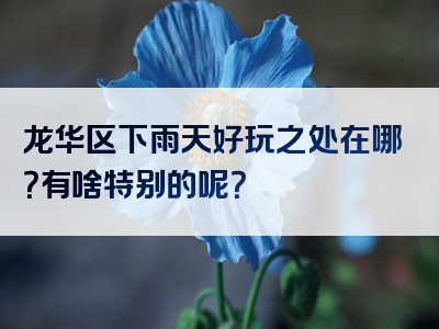 龙华区下雨天好玩之处在哪？有啥特别的呢？