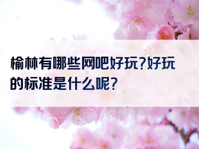 榆林有哪些网吧好玩？好玩的标准是什么呢？