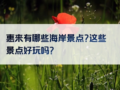 惠来有哪些海岸景点？这些景点好玩吗？