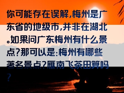 你可能存在误解，梅州是广东省的地级市，并非在湖北。如果问广东梅州有什么景点？那可以是：梅州有哪些著名景点？雁南飞茶田算吗？