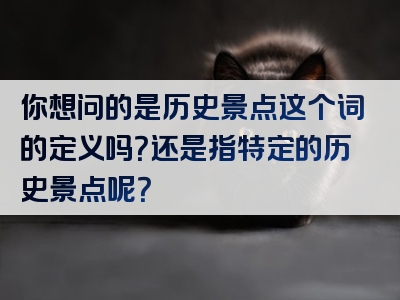 你想问的是历史景点这个词的定义吗？还是指特定的历史景点呢？