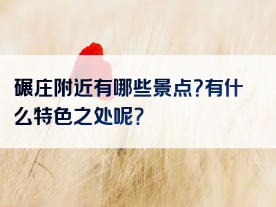 碾庄附近有哪些景点？有什么特色之处呢？