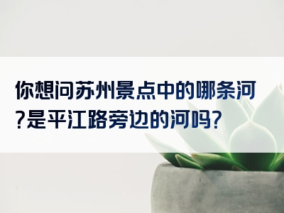 你想问苏州景点中的哪条河？是平江路旁边的河吗？