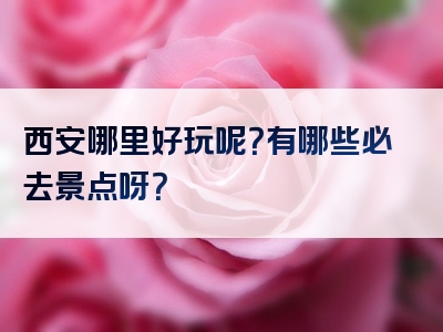 西安哪里好玩呢？有哪些必去景点呀？