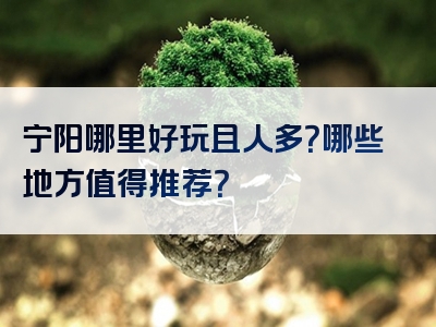 宁阳哪里好玩且人多？哪些地方值得推荐？