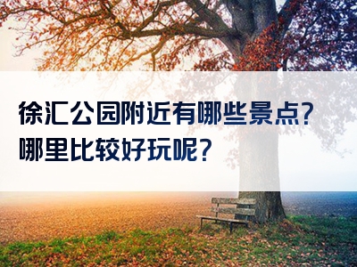徐汇公园附近有哪些景点？哪里比较好玩呢？