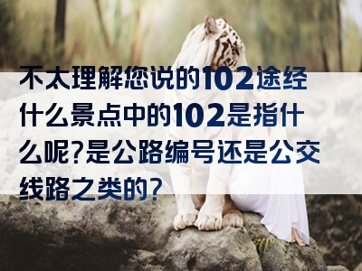 不太理解您说的102途经什么景点中的102是指什么呢？是公路编号还是公交线路之类的？