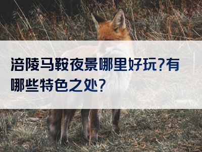 涪陵马鞍夜景哪里好玩？有哪些特色之处？