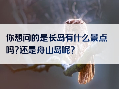你想问的是长岛有什么景点吗?还是舟山岛呢?