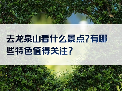 去龙泉山看什么景点？有哪些特色值得关注？
