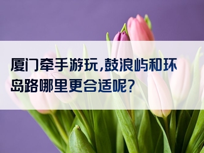 厦门牵手游玩，鼓浪屿和环岛路哪里更合适呢？