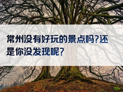 常州没有好玩的景点吗？还是你没发现呢？