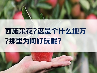 西施采花？这是个什么地方？那里为何好玩呢？